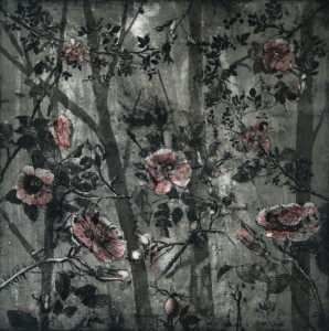 Vresrosor 50x50cm mjukgrund+akvatint